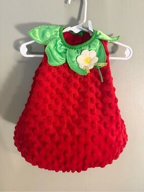 Fun of a Kind Strawberry Baby Costume Plush Dress 3-6M Halloween